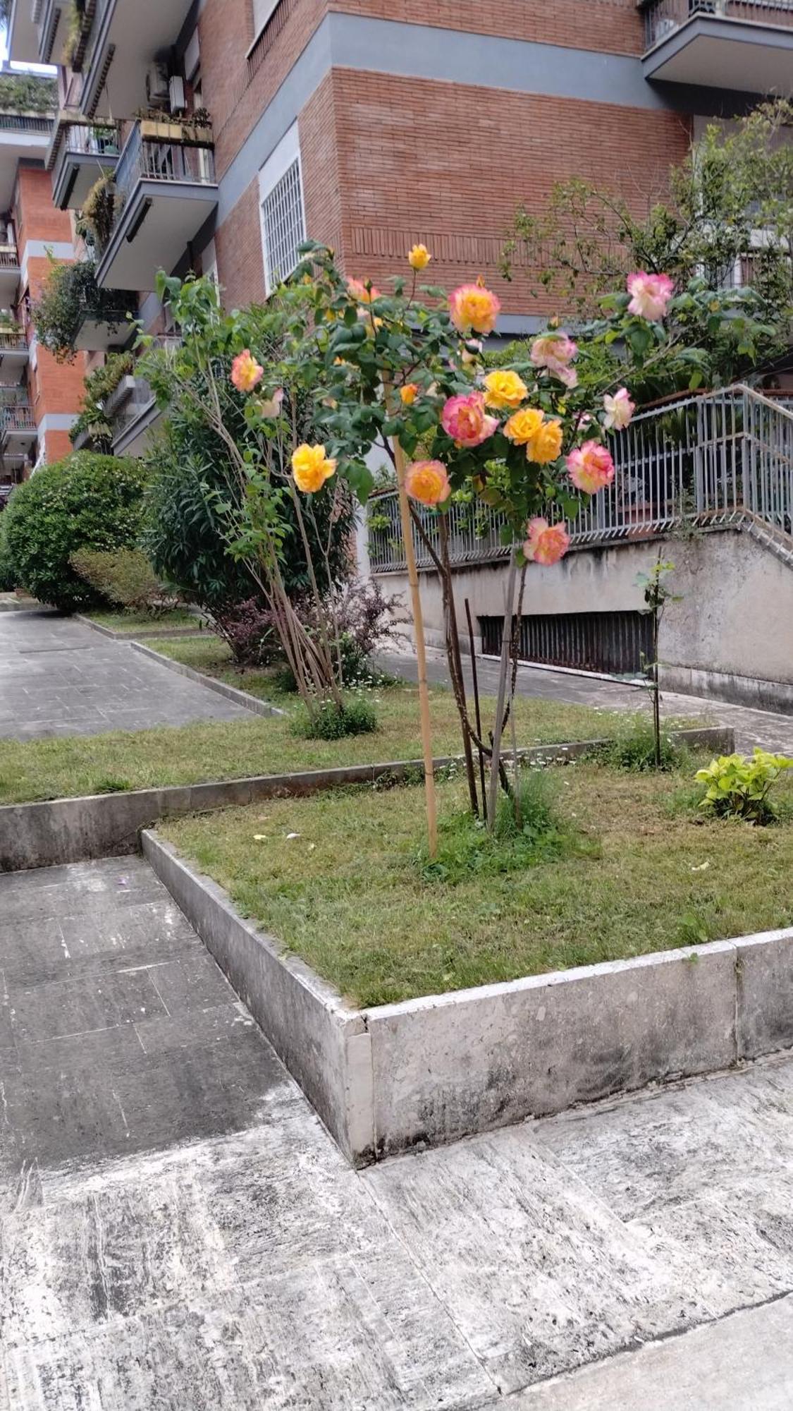 Lägenhet Casa Gaja, La Casa Vicino Pamphili *